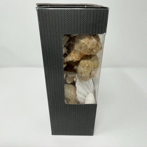 1.8lbs Unscented Shells Vase Filler Ivory/Brown - Picture 2 of 8